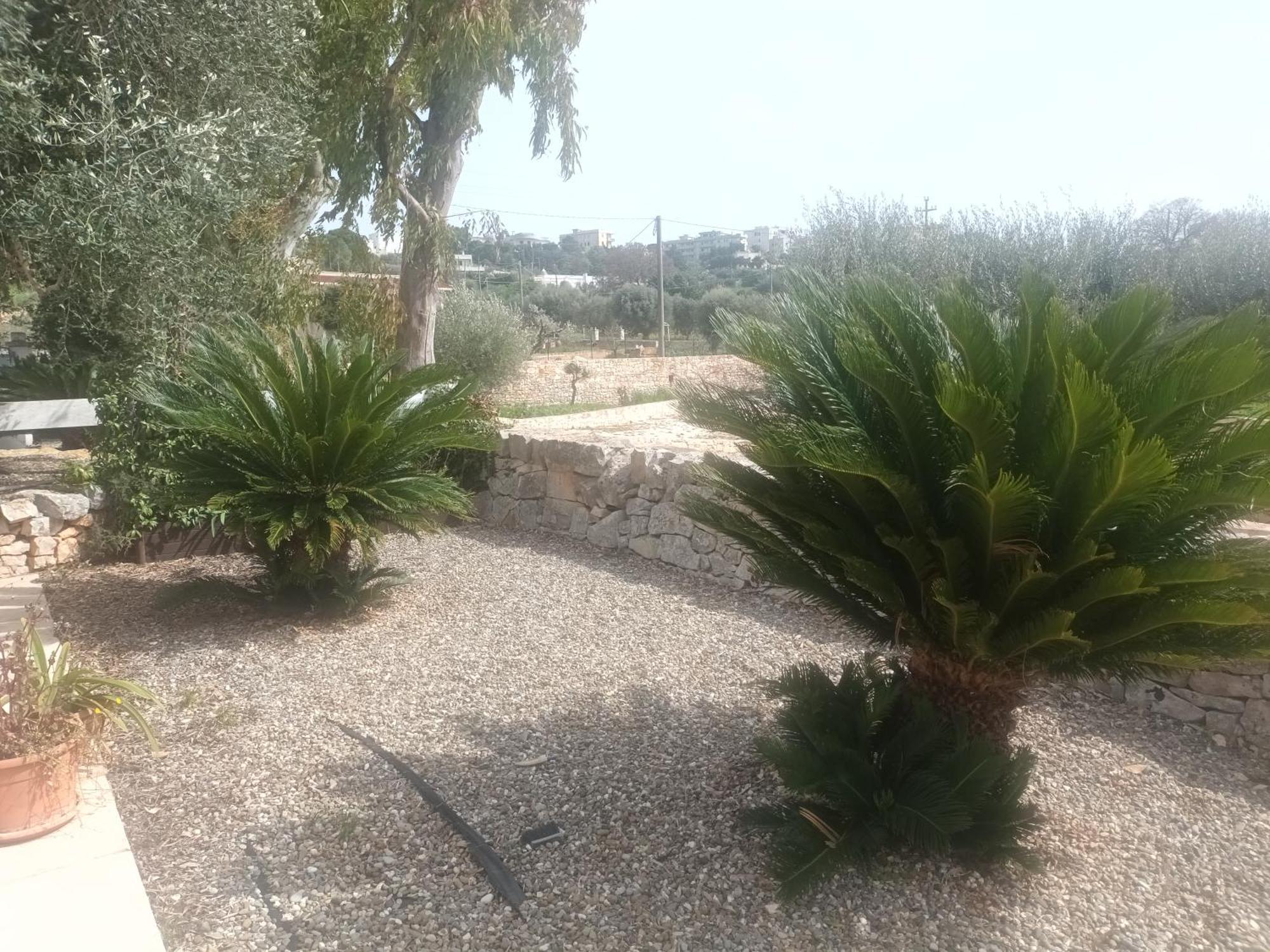 Trullo Amico Villa Cisternino Exterior photo